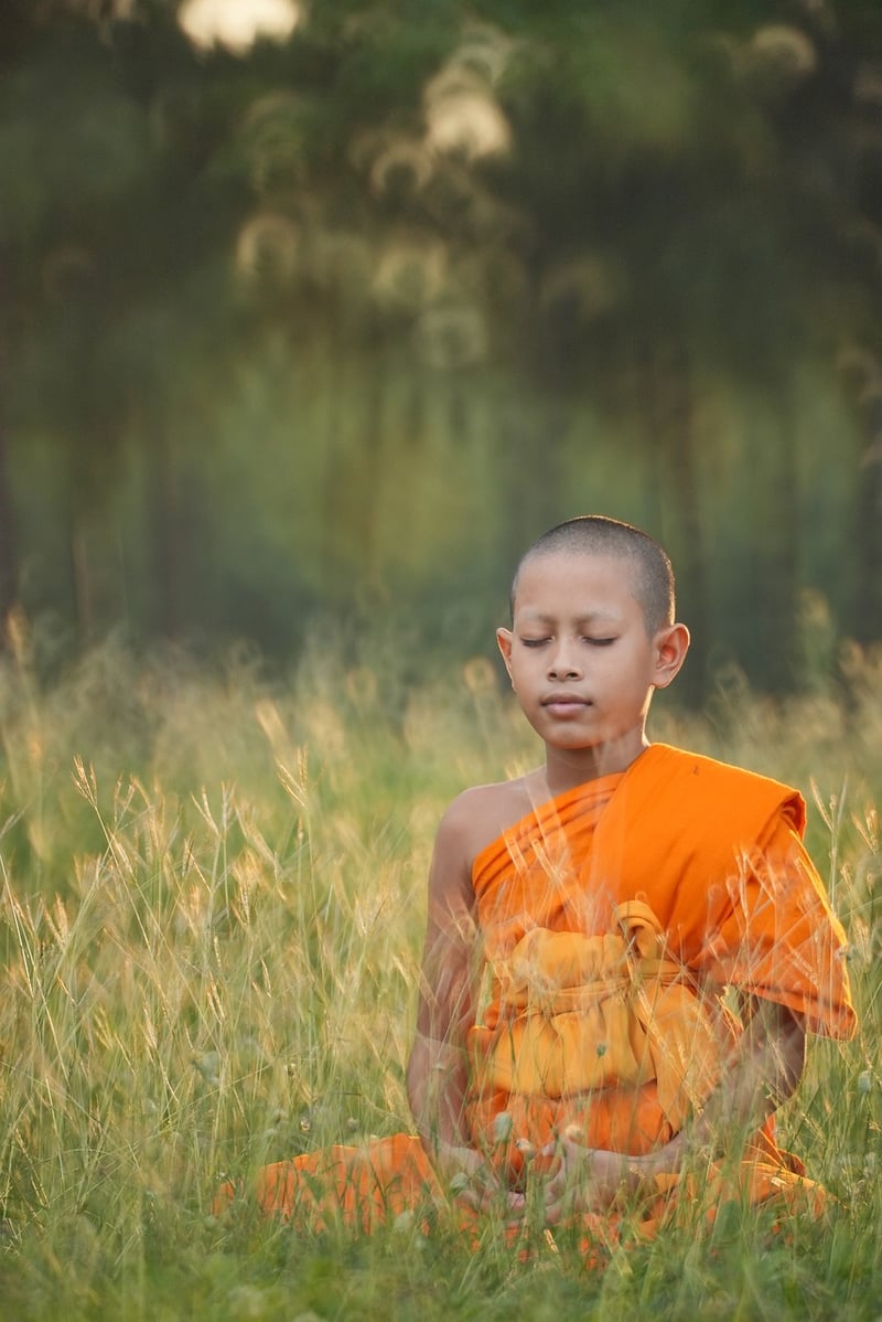 Sun Style Tai Chi Meditation